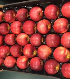 Fresh Farm Red Apple, Cultivation Type: Organic