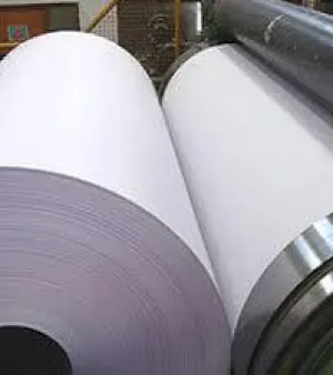 Offset Printing Paper By R Cube Trading