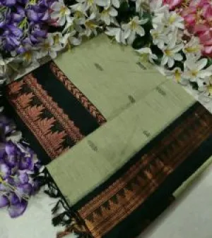 Ladies Tant Saree