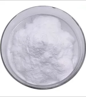 Bulk Service L Carnitine Raw Nutrient Supplement Powder For Weight Loss