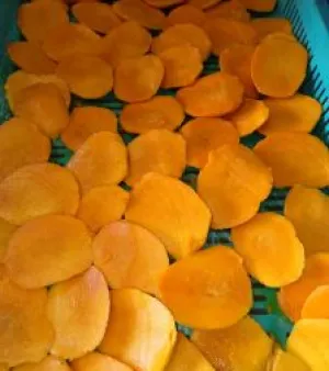 Alphonse Mango Slice, mango type : alphonse