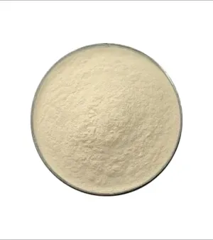 Beige Natural Zeolite, Color : White