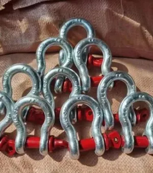 Stainless Steel Bow Shackle