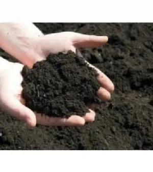 Organic Soil Conditioner, Purity : 96%, Form : Powder