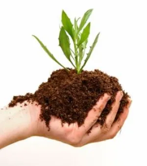 Herbal soil conditioner, Packaging Size : 6-12 Kg
