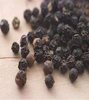 Dried PIPERINE, Packaging Type : HDPE Drum, Form : Dried