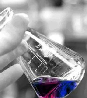 Sodium Stearyl Fumarate, Purity : 98%