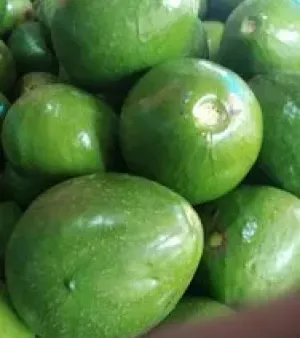 Butter Fruits, Quality : A Grade