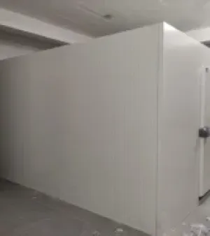 Cold Room, Storage Capacity : 3000