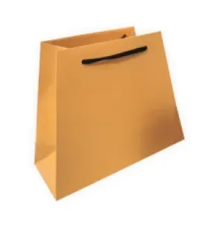 Kraft Paper Carry Bag, Capacity : 2kg