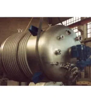 Stainless Steel Reactor Vessels, Usage/Application : Industrial