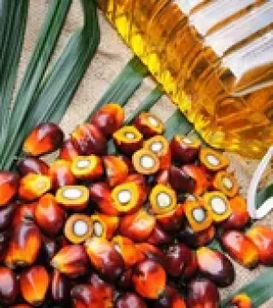 Liquid Crude Palm Kernel Oil, Type : Mono Saturated