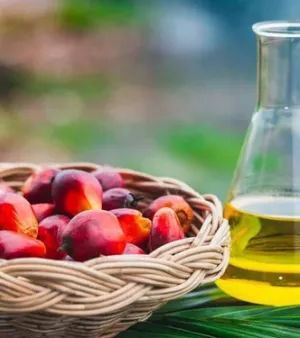 Liquid Crude Palm Oil, Colour : Yellow