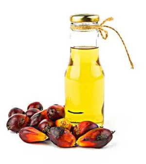 Crude Palm Oil, State : Liquid