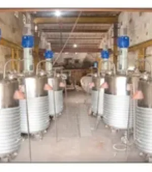 Limpet Coil Reactor Vessel