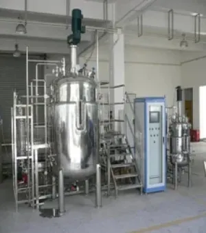 Fermenter And Bioreactor, Capacity : 2000 Liters
