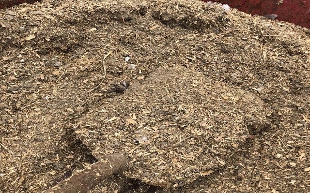 Sundried Chicken Manure Fertilizer