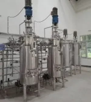 Industrial Fermenter, material : Stainless Steel