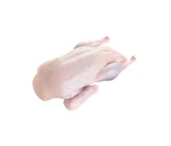 Duck Meat