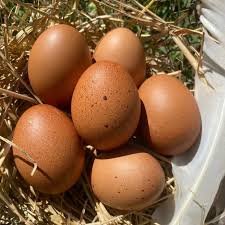Dark Brown Eggs
