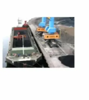 Unload bulk cargo vessel, Application : Industrial