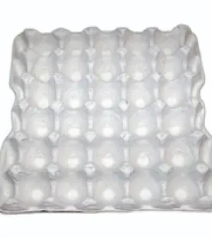 White Paper Material Egg Packaging Tray, Capacity : 30