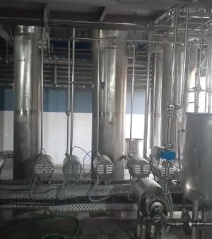 Paneer process plant