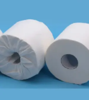 Toilet Paper