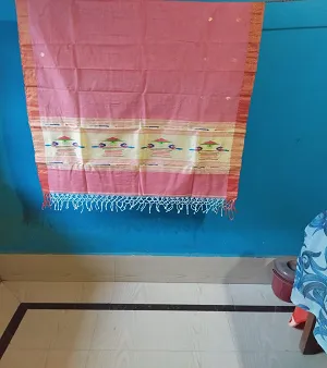 Cotton handloom handwork saree, Condition : New