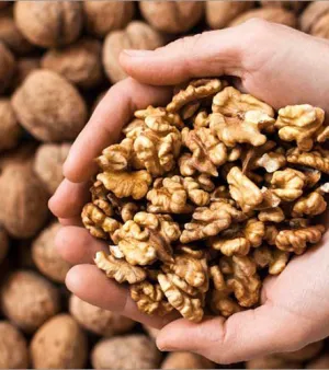 Walnut Kernel