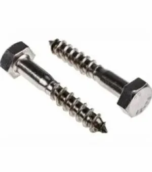 Stainless Steel Coach Screw