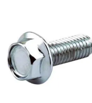 Ss Flange Bolt