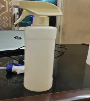 Empty Spray Bottle
