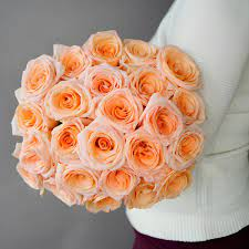 Natural Rose Flower