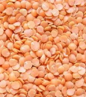 Masoor Dal