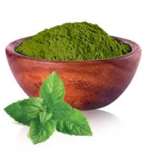 Spray Dried Mint Powder