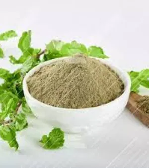Mint Powder