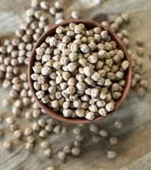 Kabuli Chana
