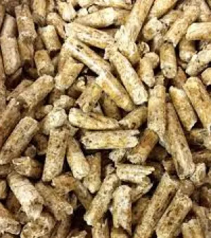 Biofuel Pellets