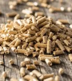 Biomass Wood Pellet