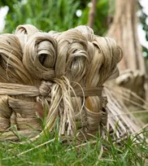 Raw Jute