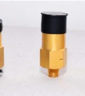 Pop Action Valve