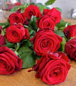 Natural Rose