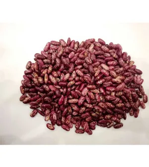 Uzbekistan Origin Supplier Selling Standard Quality Vitamins Rich Dried Red Kidney Beans for Making Various Dishes and Salad