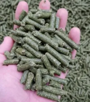 Alfalfa Pellets
