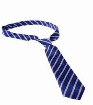 School Tie