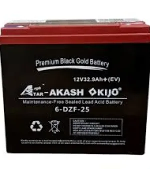 Electric Vehicle Batteries