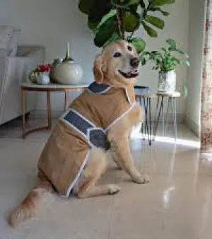 Dog Coat