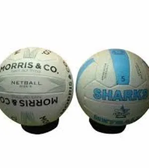 Net Ball
