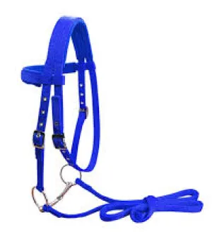 Horse Harness